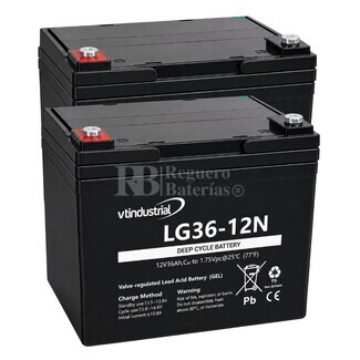2 Baterias LG36-12N Movilidad  | GEL 12 Voltios 36 Amperios VT